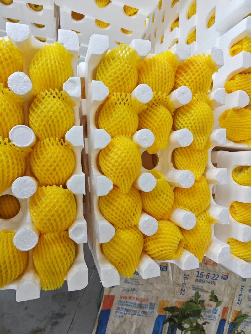 湖北红心黄桃新鲜桃子脆甜店管家对接平台一件代发