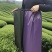 采茶围裙围腰摘茶耐磨户外茶园服防水裙防刮防刺通用雨