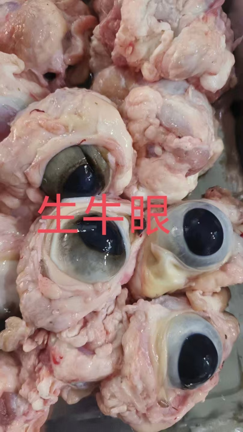 生牛眼