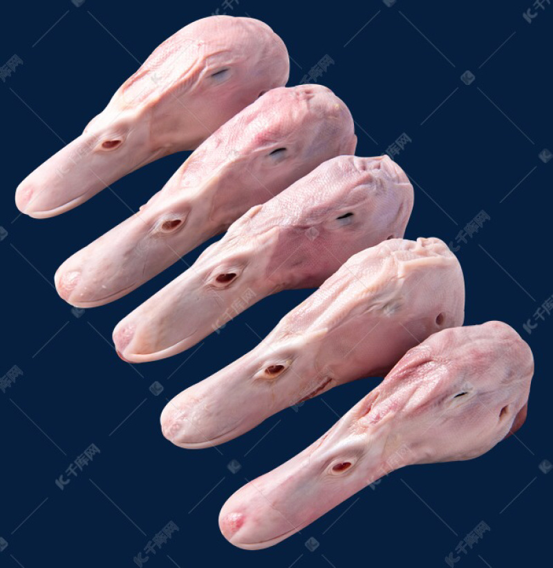 鸭头