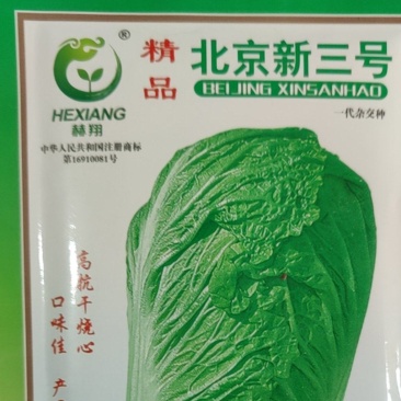 杜绝假货白菜种子北京新三号蔬菜种子菜籽厂家直发