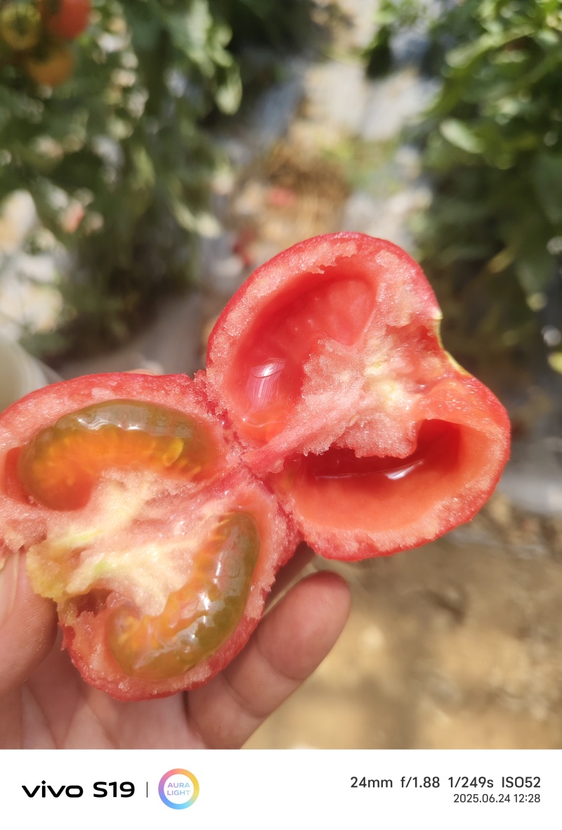 赶集货，