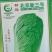 杜绝假货白菜种子北京新三号蔬菜种子菜籽厂家直发
