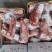 【热卖推荐】郑州精品牛胸肉，牛脖肉一手货源全国发货
