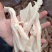 鸭掌价格低廉