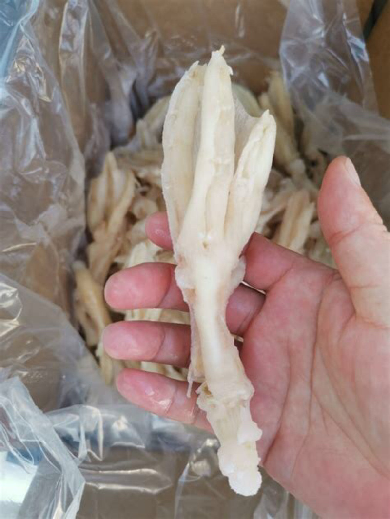 鸭掌价格低廉