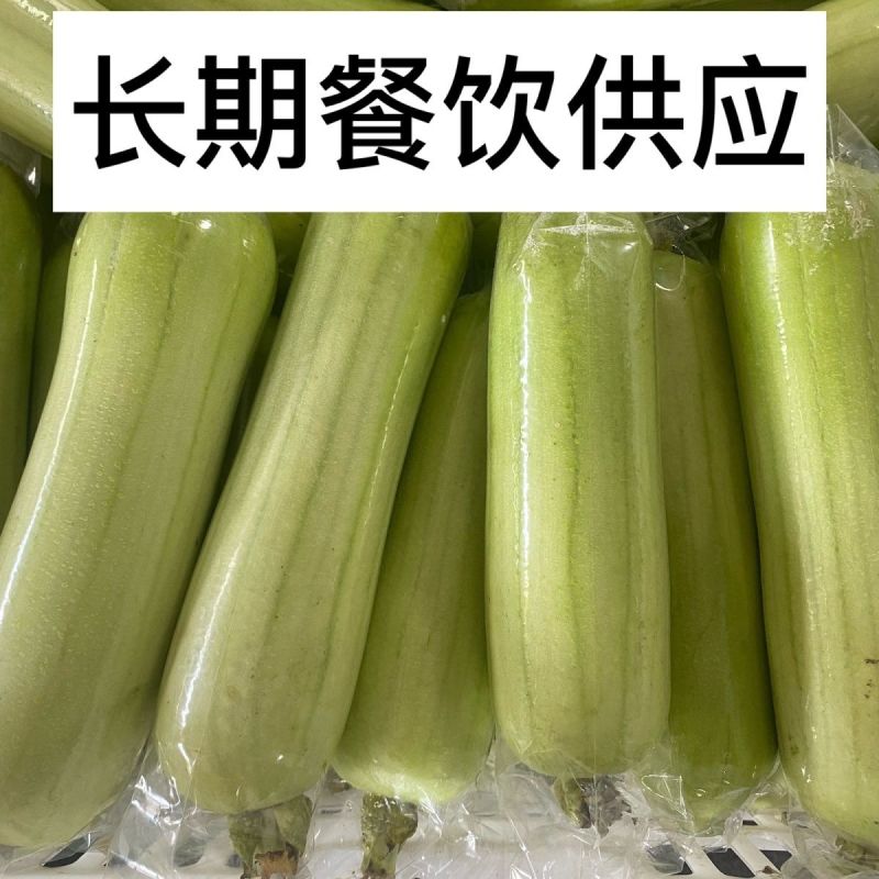 《白玉丝瓜》湖南种植大户直发无中间商赚差价对接全国