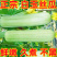 《白玉丝瓜》湖南种植大户直发无中间商赚差价对接全国