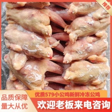 烧鸡炒鸡冻品579小公鸡