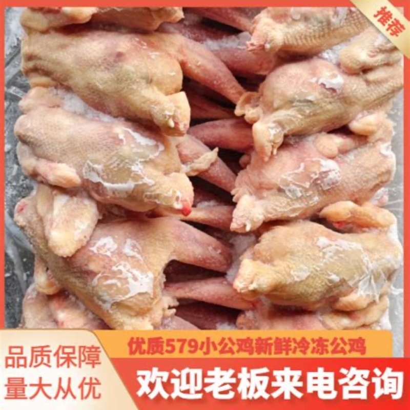 烧鸡炒鸡冻品579小公鸡