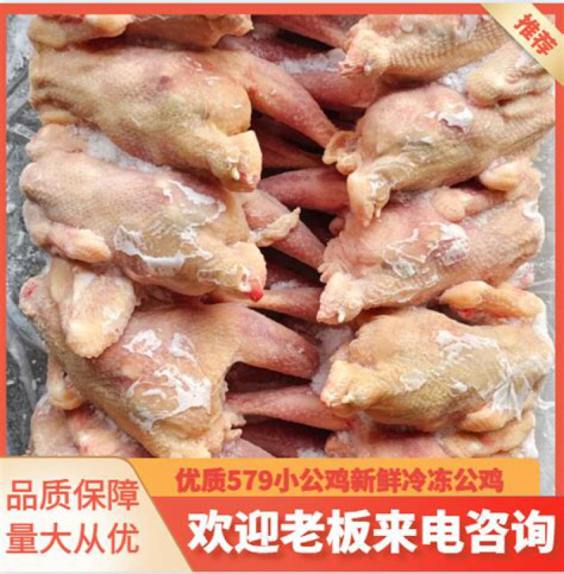 烧鸡炒鸡冻品579小公鸡