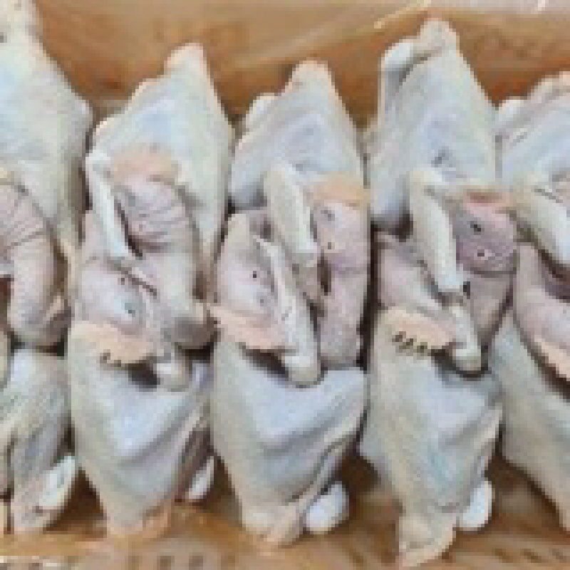 烧鸡炒鸡冻品579小公鸡