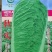 杜绝假货大白菜种子秋播白菜种子蔬菜种子菜籽菜子