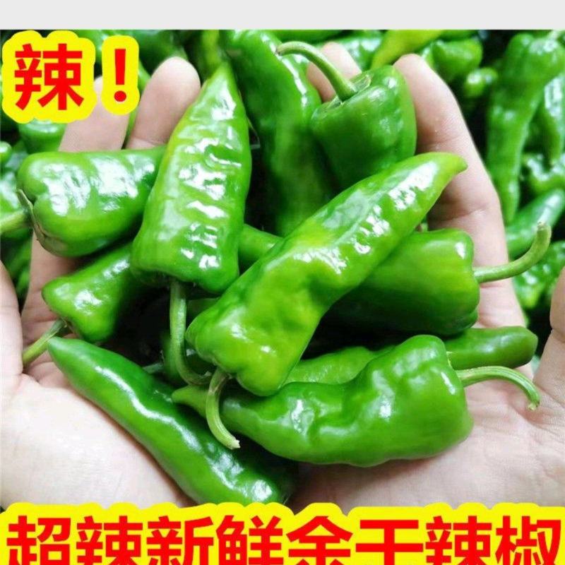 余干本地丰收辣椒，皮薄无渣，超好吃