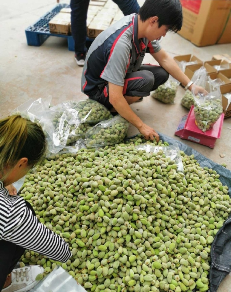 新鲜巴旦木现摘现发货数量有限先到先得