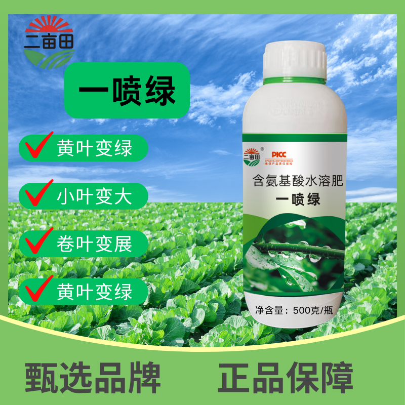叶面肥一喷就绿含氨基酸水溶肥