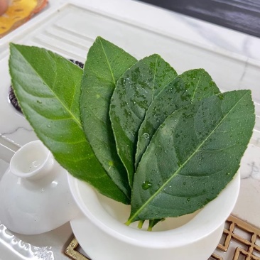 精品柠檬叶，产地直发价格实惠