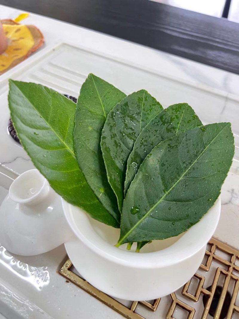 精品柠檬叶，产地直发价格实惠