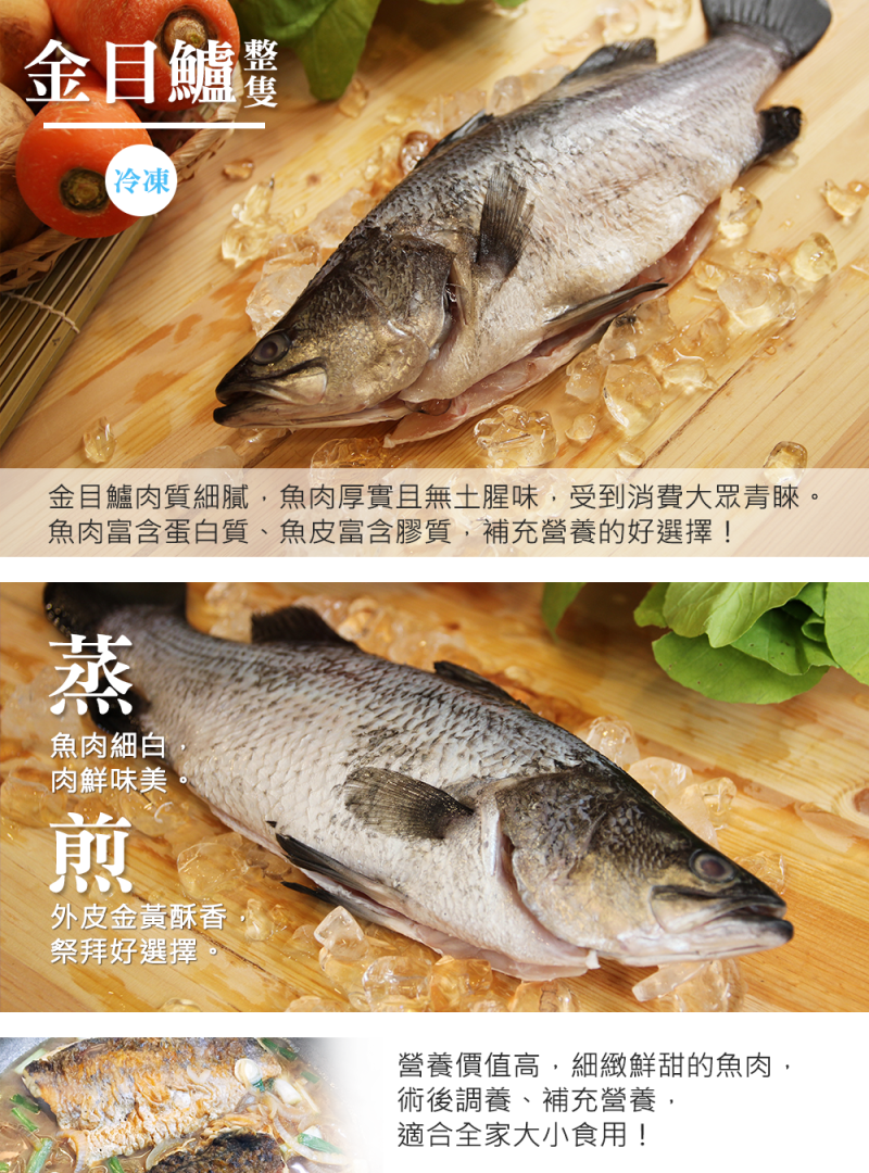 金目鲈盲槽尖吻鲈大型专业基地养殖，活鱼或冰鲜打包