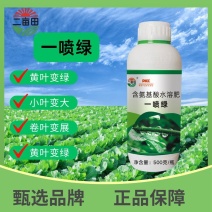 含氨基酸叶面肥一喷绿，快速增绿，病叶，黄叶一喷绿，叶面黄