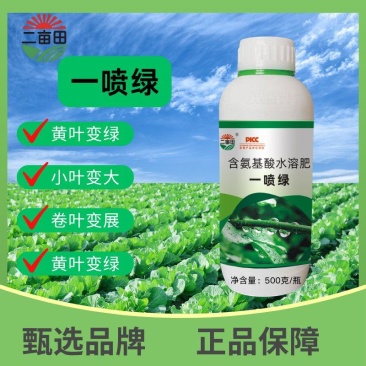 含氨基酸叶面肥一喷绿，快速增绿，病叶，黄叶一喷绿，叶面黄