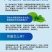 含氨基酸叶面肥一喷绿，快速增绿，病叶，黄叶一喷绿，叶面黄