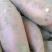 【实力】河南红薯/开封龙薯九号/龙九红薯/沙地红薯/欢迎