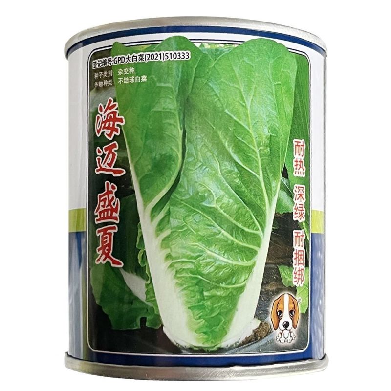 庭院新鲜快菜种子耐抽苔速生小白菜种籽耐热耐湿抗病耐寒食用