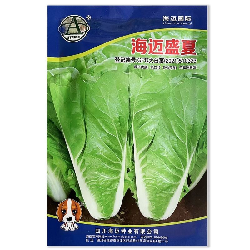 庭院新鲜快菜种子耐抽苔速生小白菜种籽耐热耐湿抗病耐寒食用