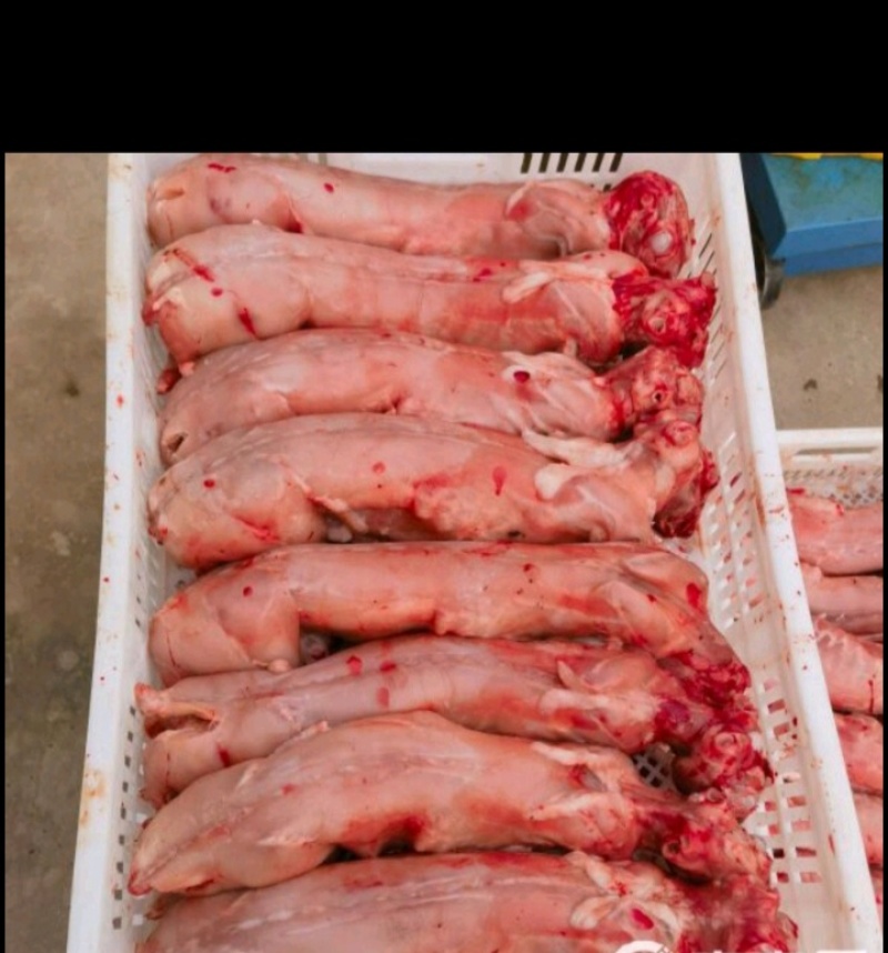 自己家的山里放养的兔子，肉质非常好