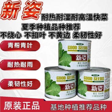 新姿耐热耐高温快菜种子不烧心不黄边柔韧性好耐雨水青帮青叶