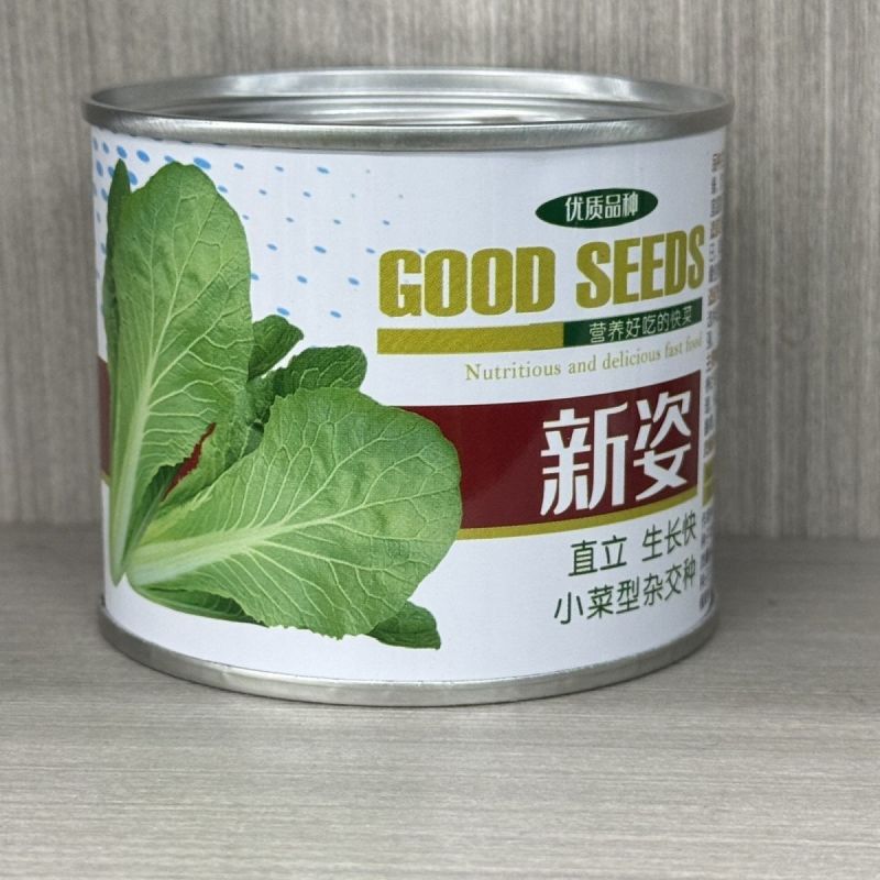 新姿耐热耐高温快菜种子不烧心不黄边柔韧性好耐雨水青帮青叶