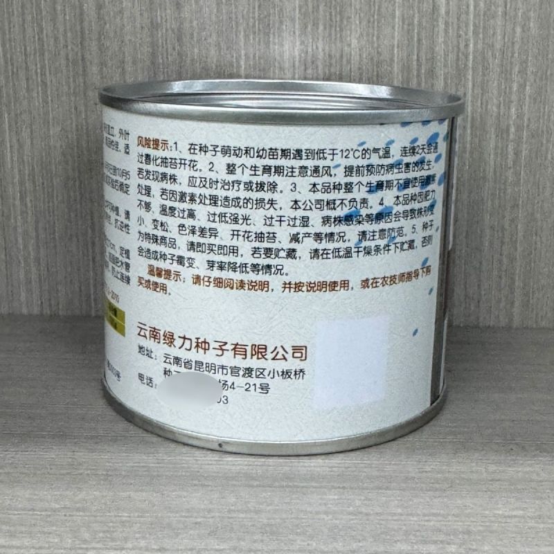 新姿耐热耐高温快菜种子不烧心不黄边柔韧性好耐雨水青帮青叶