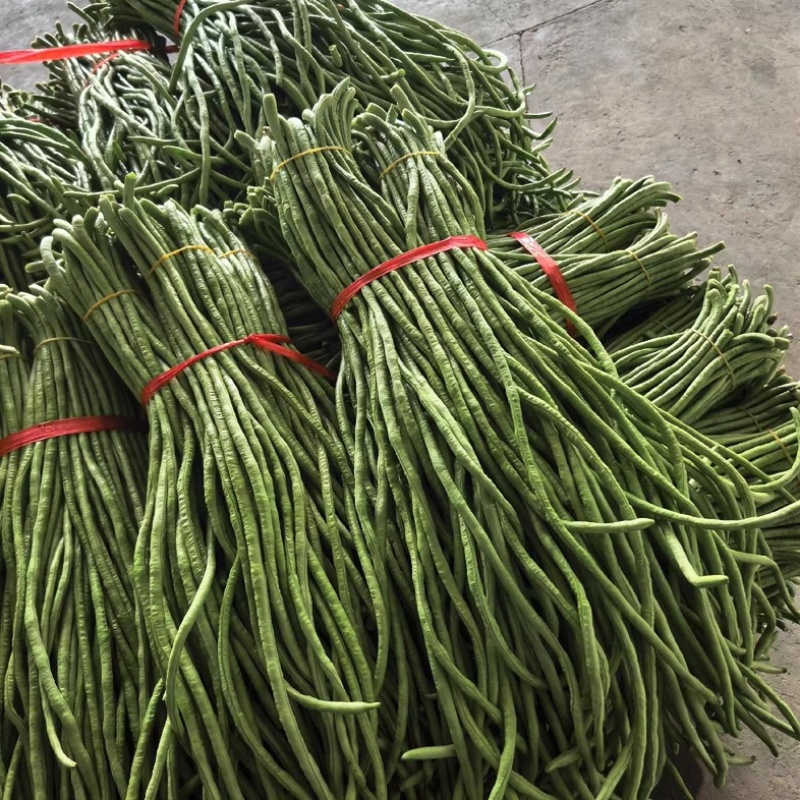 湖北长豆角大量上货食堂货市场货大量有货价格随行