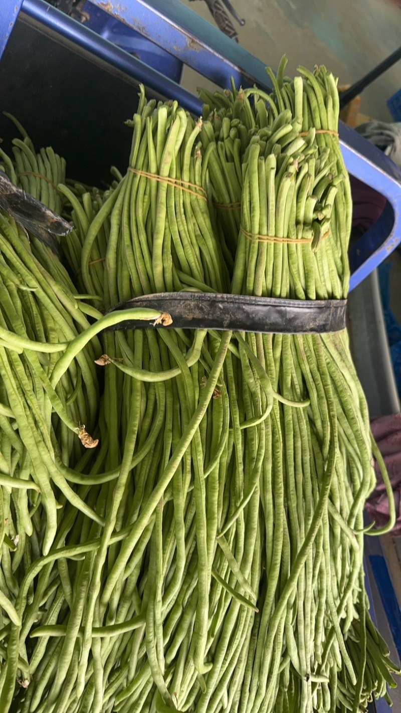 湖北长豆角大量上货食堂货市场货大量有货价格随行