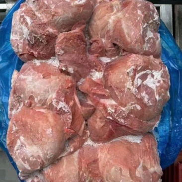 母猪四号肉每天生产手续齐全