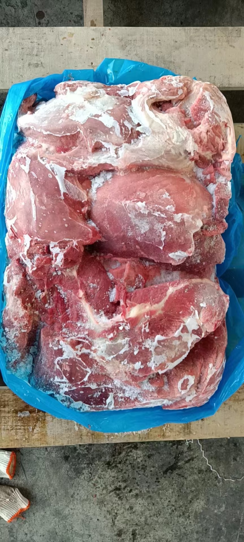 母猪四号肉每天生产手续齐全