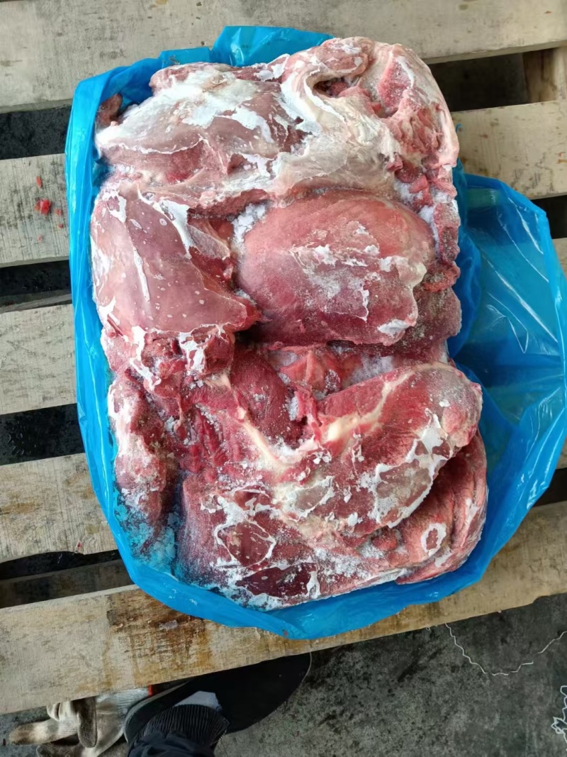 母猪四号肉每天生产手续齐全
