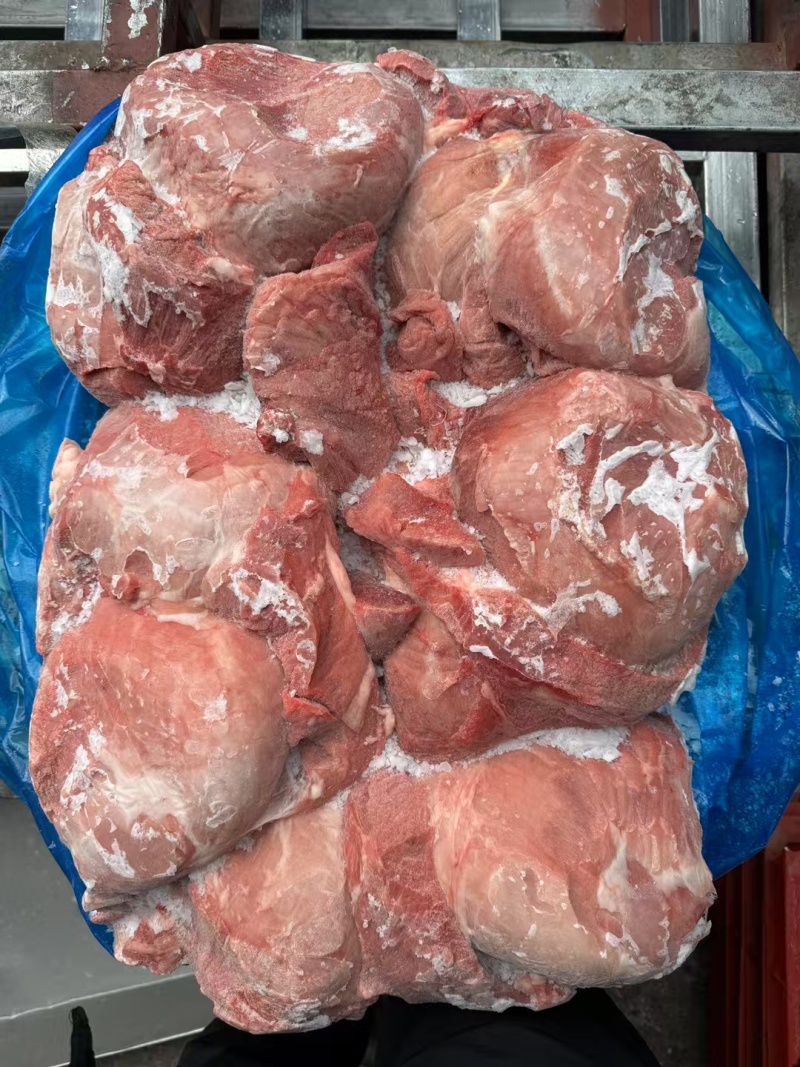 母猪四号肉每天生产手续齐全