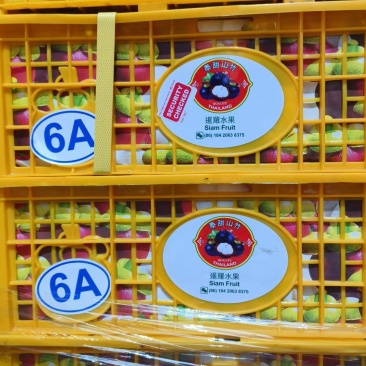 广州江南市场泰国山竹自提，160元箱，每箱7kg
