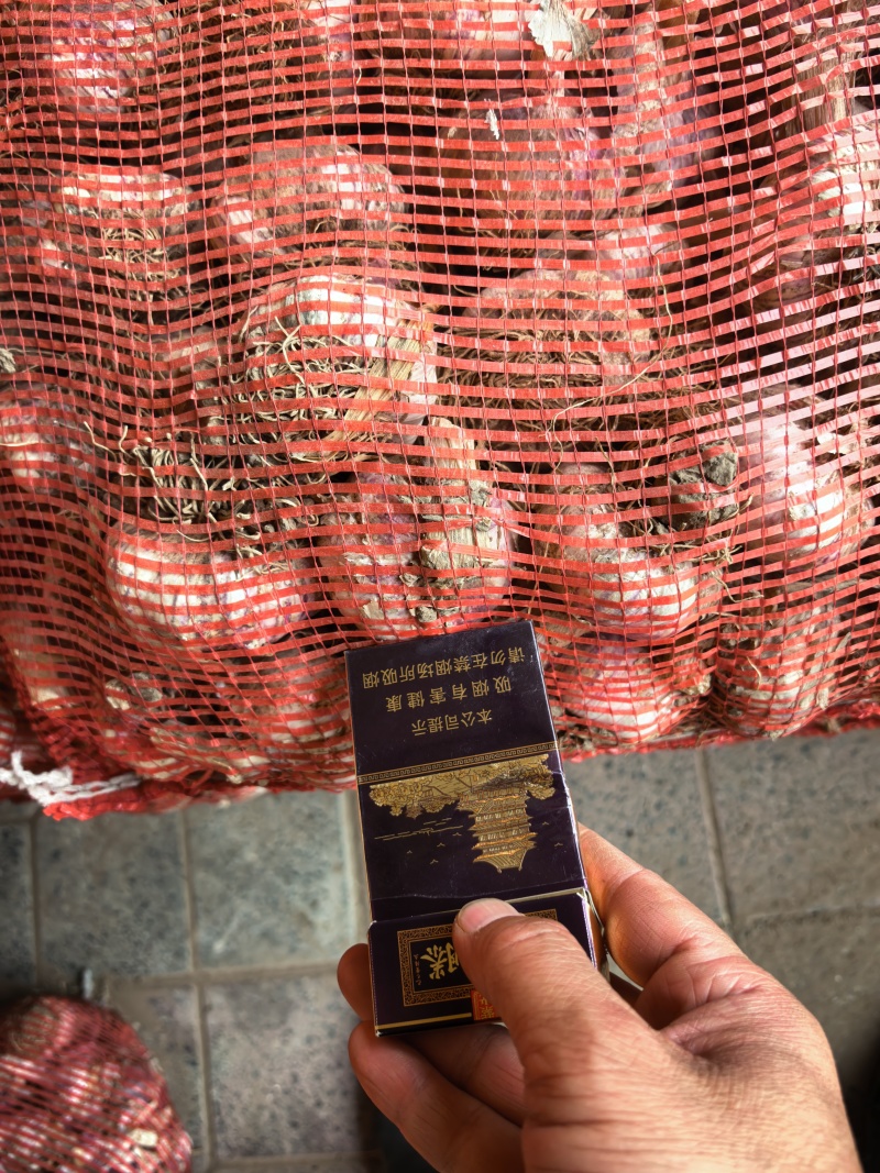 干蒜不接受价格勿扰