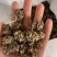 猫爪草野生猫爪草水洗过干净，价格便宜，广东清远市连州本地