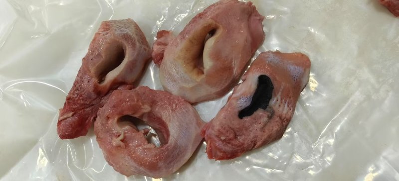 去毛牛鼻子