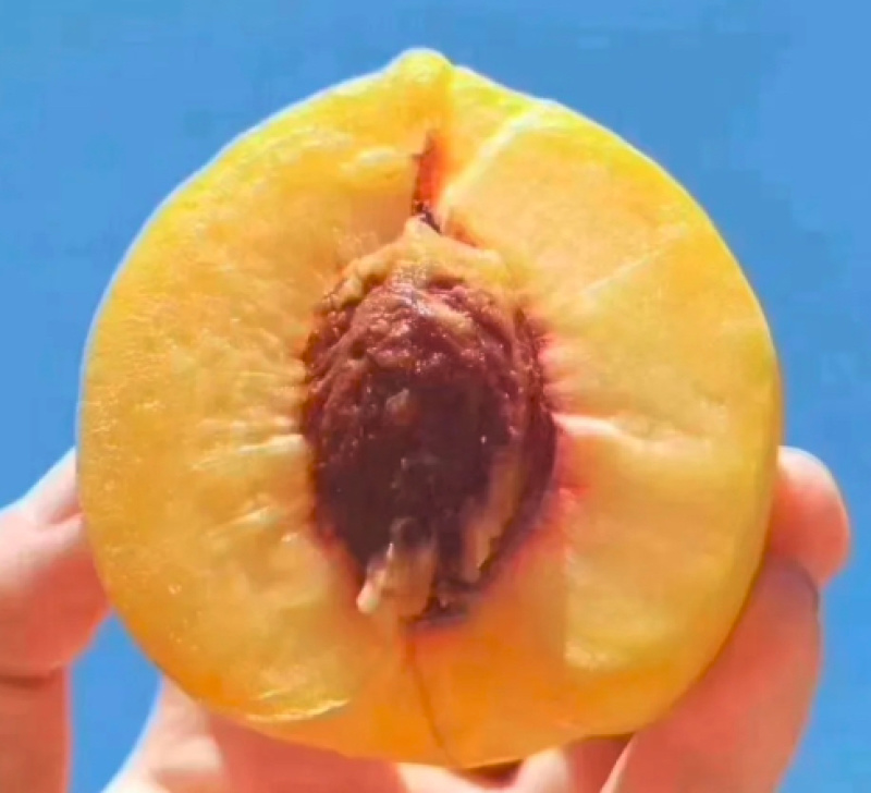 黄桃，大量供应电商，市场，商超，规格齐全，品质保证