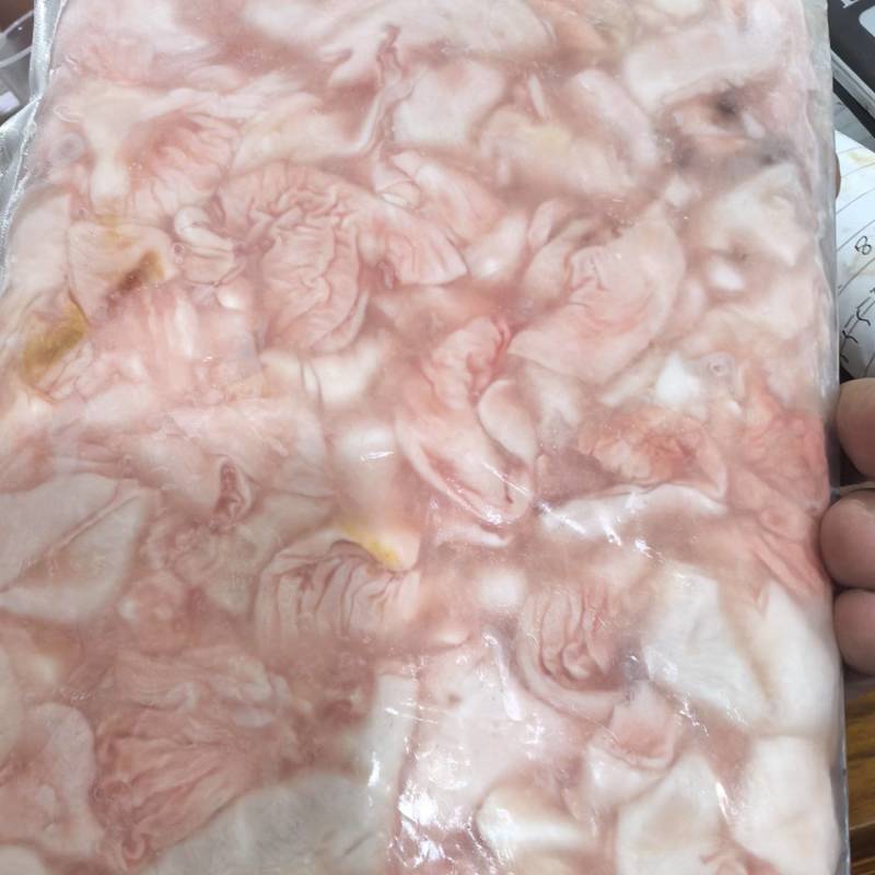 清江鱼鮰鱼肚