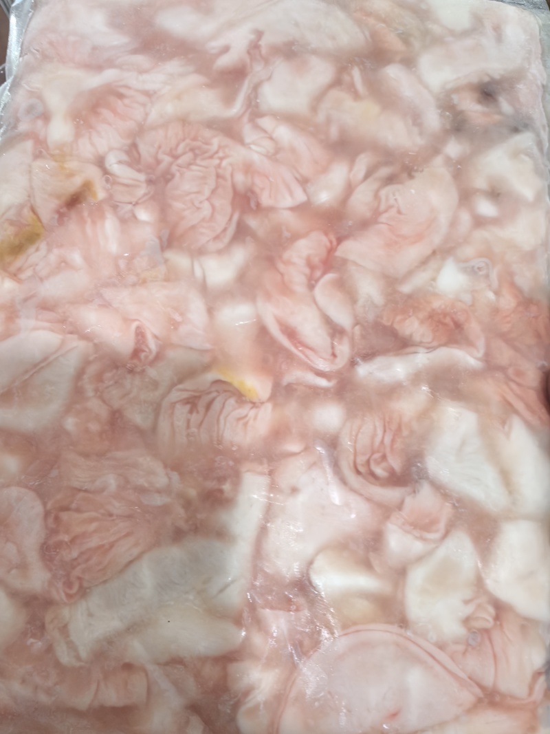 清江鱼鮰鱼肚