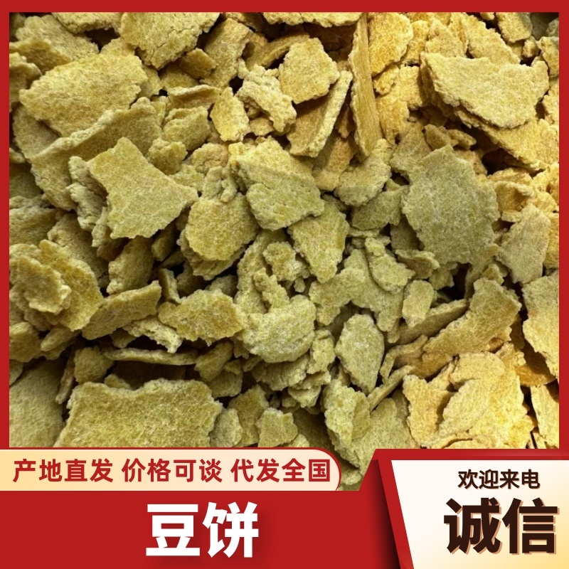 山东大量豆饼饲料原料饼粕类原料产地直发代发全国