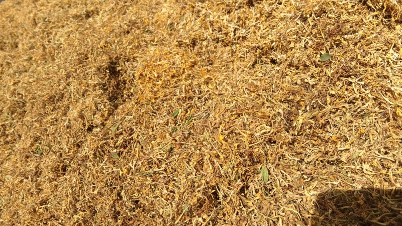 金银花，零售，物流发货，大货装车，贵州山银花。
