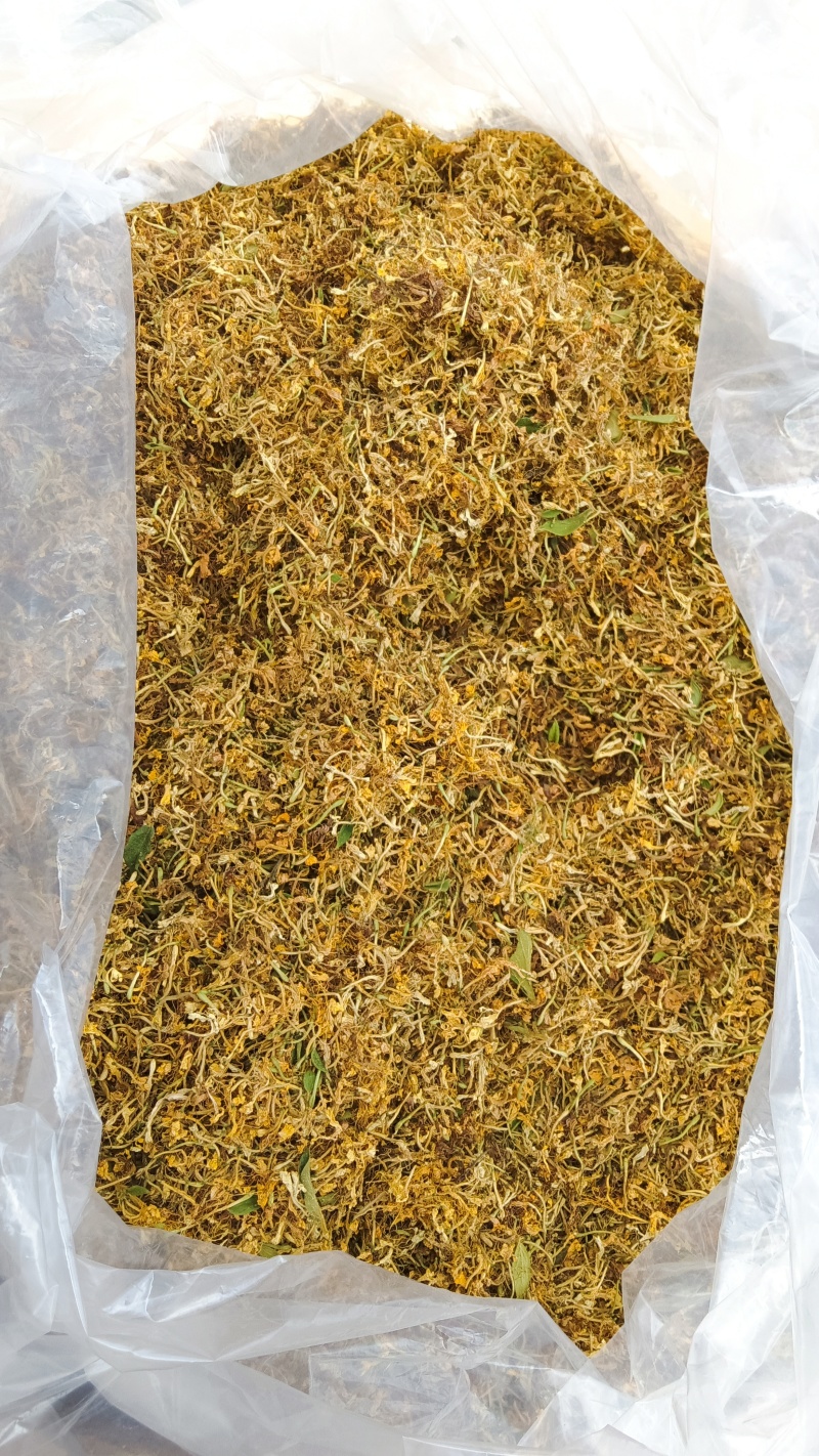 金银花，零售，物流发货，大货装车，贵州山银花。