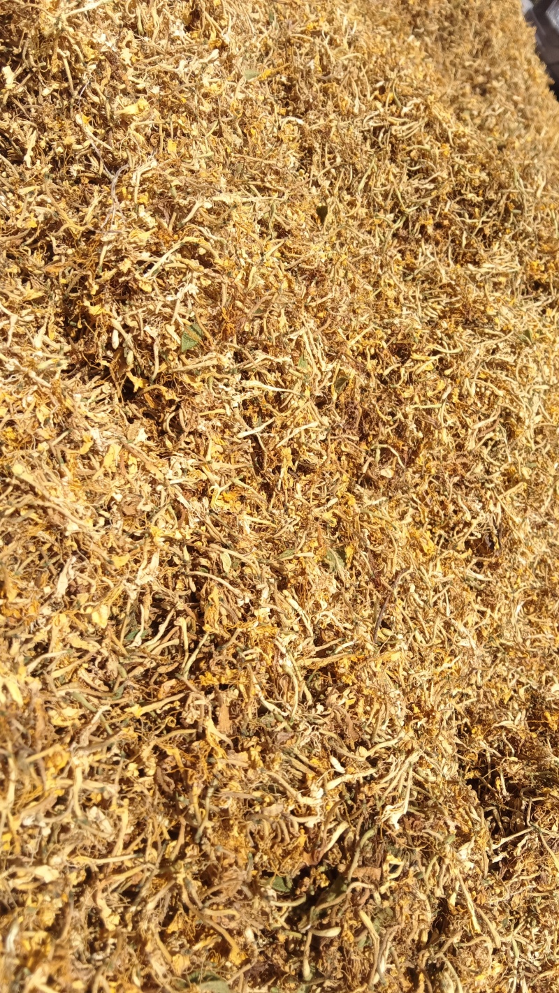 金银花，零售，物流发货，大货装车，贵州山银花。
